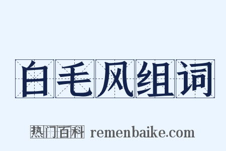 白毛风组词是什么意思的图片